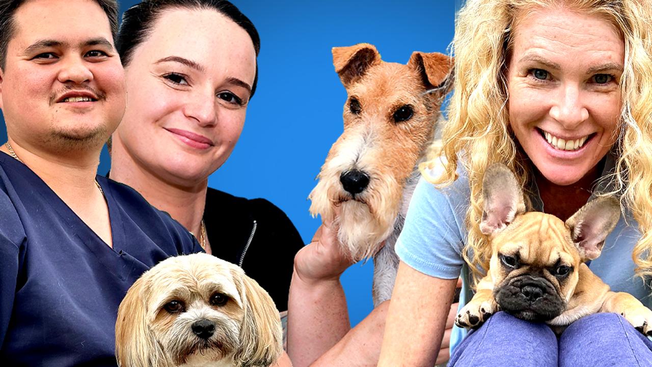 Inside the lives of Sunshine Coast's top dog groomers.