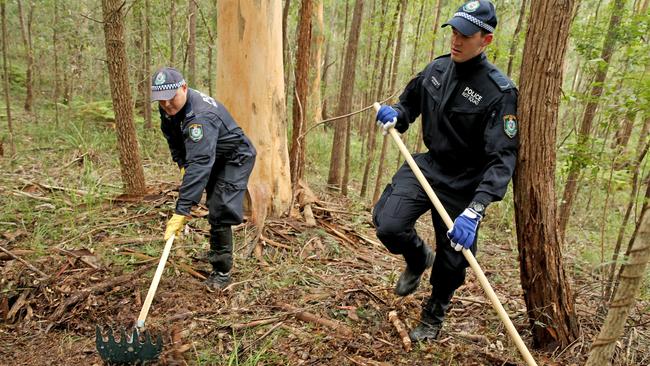 Police comb the forest floor. Picture: Nathan Edwards