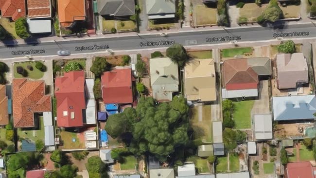 An aerial view of the large peppercorn tree that has since been cut down. Picture: Google Maps