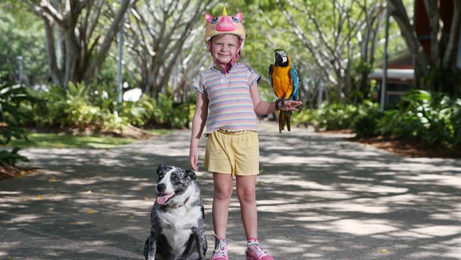 Isla Place of Mooroobool skates along the Cairns Esplanade with her pet Macaw Captain and her dog Lulu. Picture: Brendan Radke