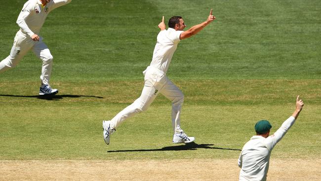 Josh Hazlewood celebrates dismissing Joe Root. Picture: Getty Images.