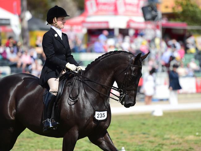 Penny Ahern riding Montilla. Picture: Zoe Phillips