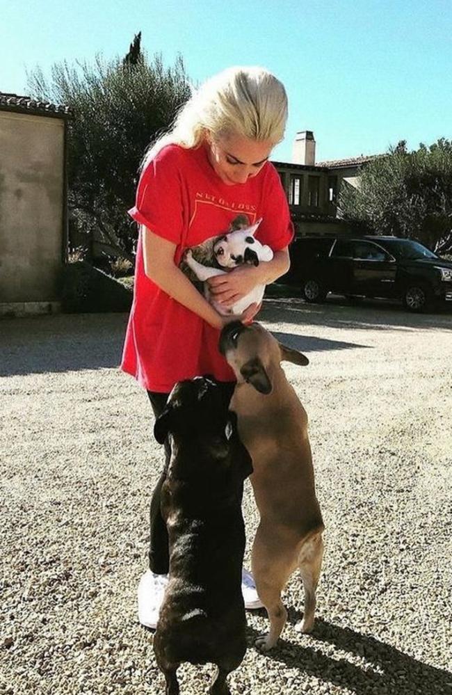 Instagram picture of Lady Gaga with her beloved French Bulldogs Koji, Miss Asia and Gustavo.