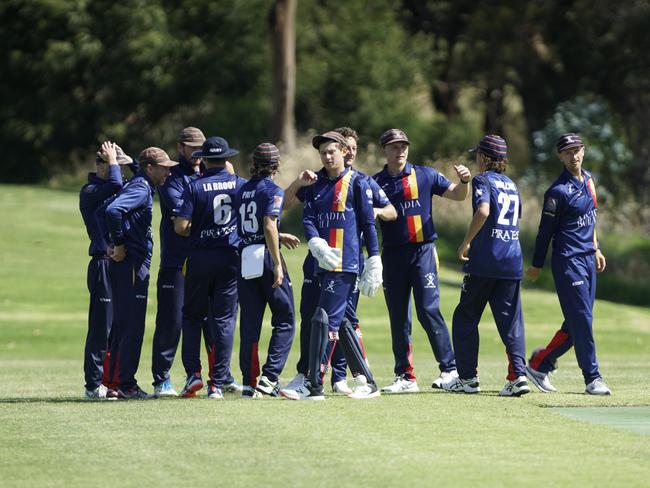 Old Peninsula players celebrate a wicket. Picture: Valeriu Campan