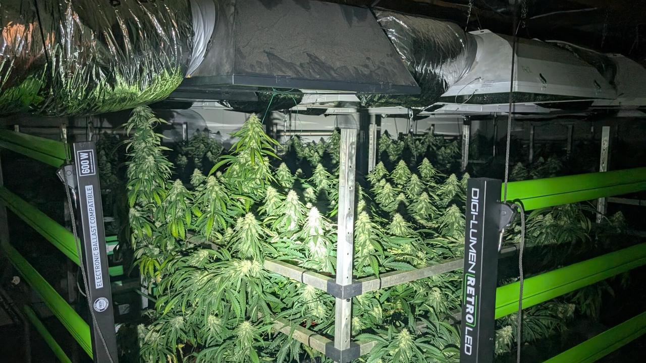Man’s alleged drug lab goes up in smoke as police nab in huge bust