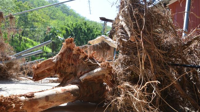 A tree smashed into the Bana Yirriji Art and Cultural Centre during the devastating floods in Wujal Wujal that lasted from December 13-17, 2023. Picture: Bronwyn Farr