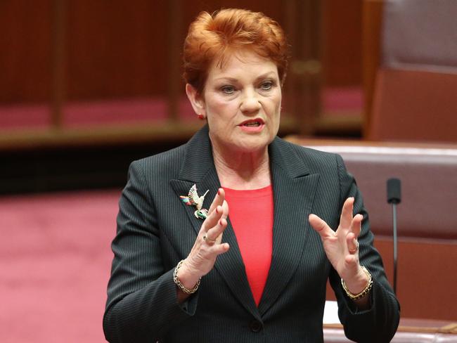 According to a book published in Pauline Hanson’s name, Australia is just decades away from being overrun and controlled by lesbian cyborgs. Picture: Ray Strange.