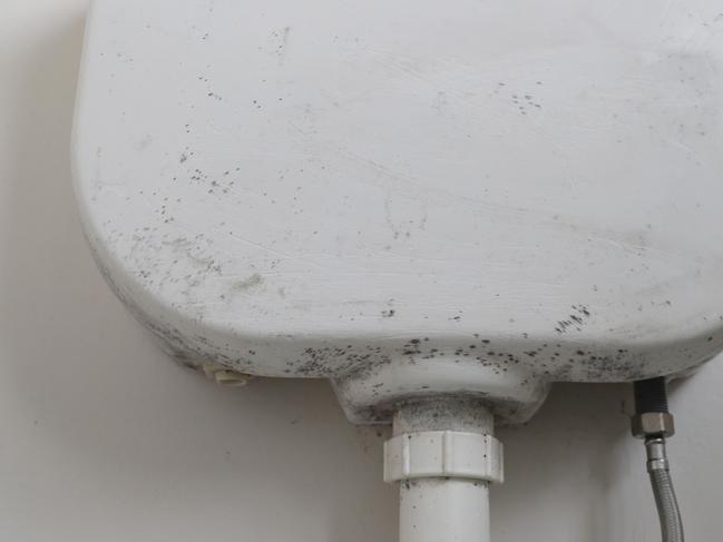 Mould present on the toilet cistern. Tina Cragg of Risdon Vale has now had to resort to living in her lounge room with her two sons because the mould in their housing home is so bad in the rest of the home. Picture: Nikki Davis-Jones