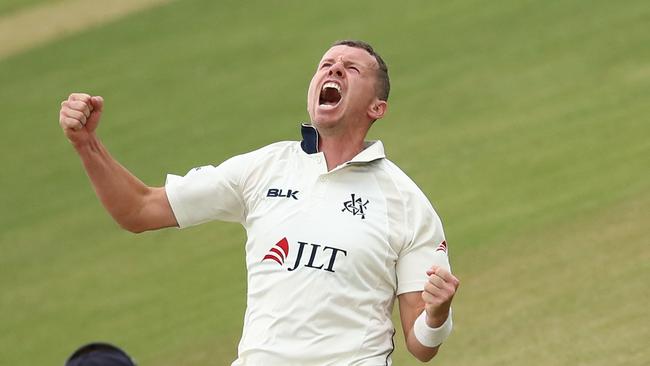 Cricketer Peter Siddle is famously vegan. Picture: Scott Barbour/Getty Images