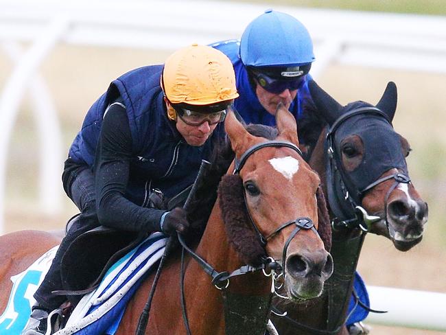 MELBOURNE, AUSTRALIA - OCTOBER 31:  Jockey Kerrin McEvoy rides Cross Counter ahead of Folkswood during a Werribee trackwork session at Werribee Racecourse on October 31, 2018 in Melbourne, Australia.  (Photo by Michael Dodge/Getty Images)