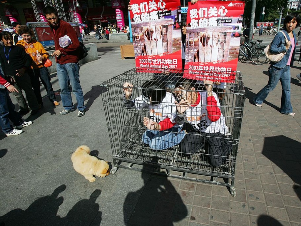 Outrage over the Yulin Dog Meat Festival continues to grow among animal rights activists around the world.