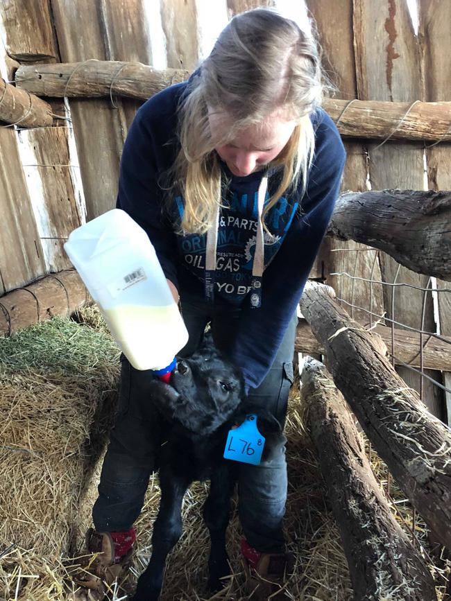 “I spend all day covered in calf spit and milk.” Picture: Lorna Bean