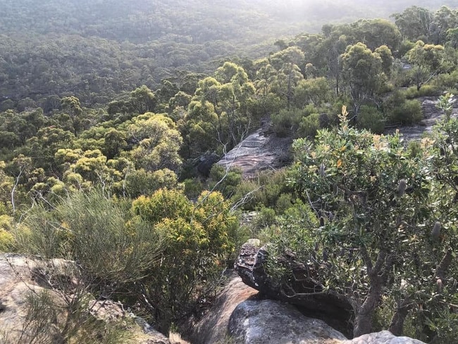 Locals have slammed the MLALC's proposal to develop bushland into suburbs within NSW's Belrose area. Picture: Facebook / Nicole Romain