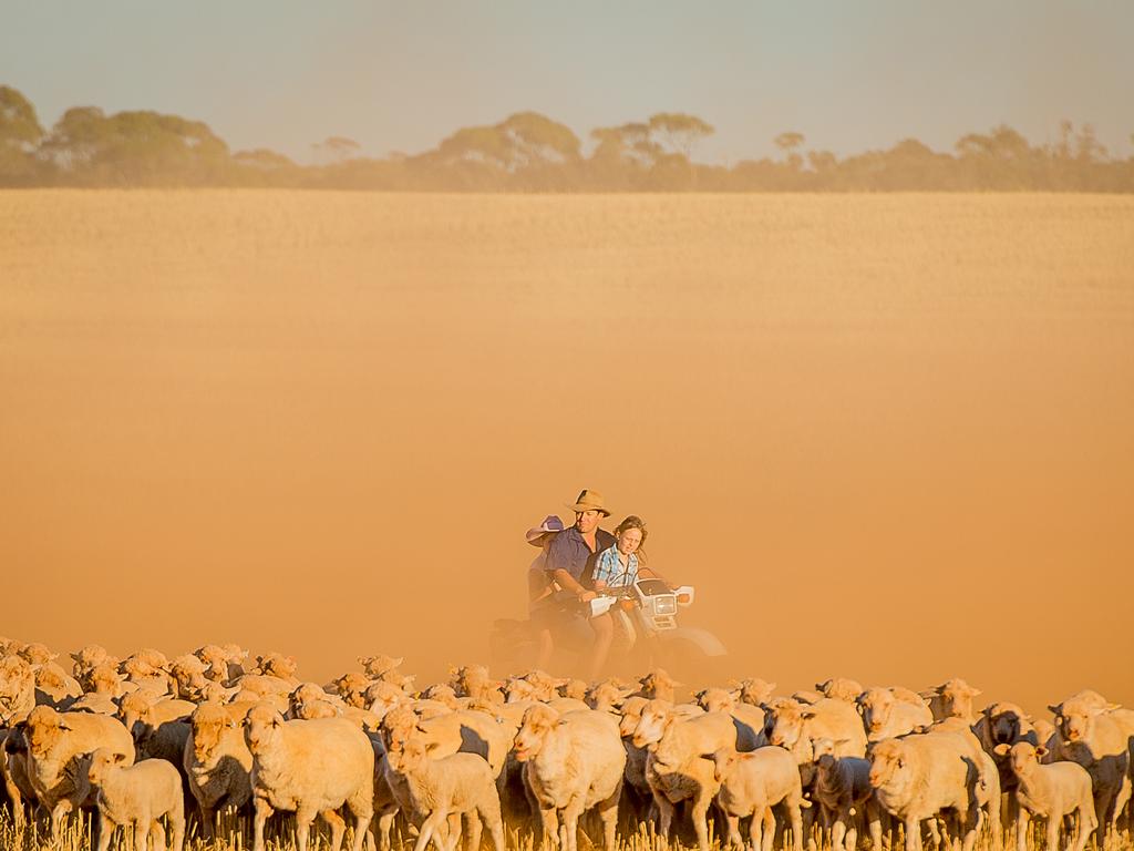 MERINGUR, west of Mildura. One of the last farms before you get to the SA and NSW borders.