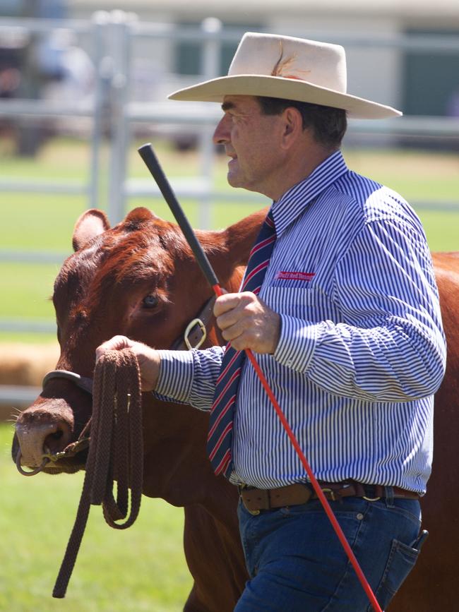 Visitors to the 2023 Murgon Show also enjoyed watching the cattle classes in the main ring.