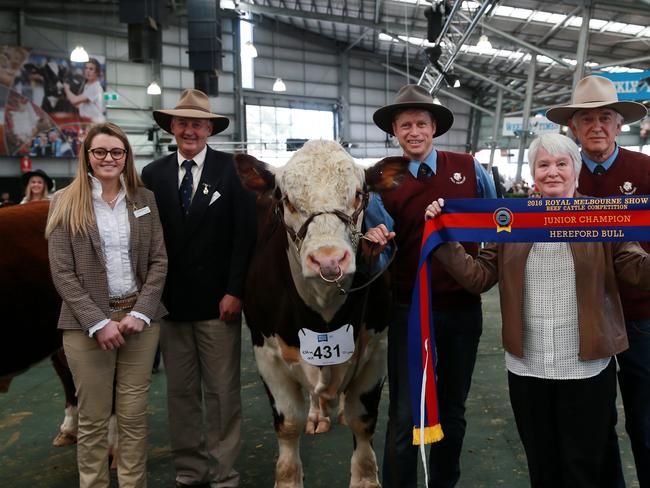 Royal Melbourne Show cattle judging | The Weekly Times