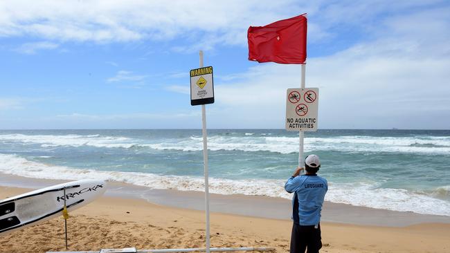 Newcastle Beaches Remain Closed After Monster Shark Sightings Daily 
