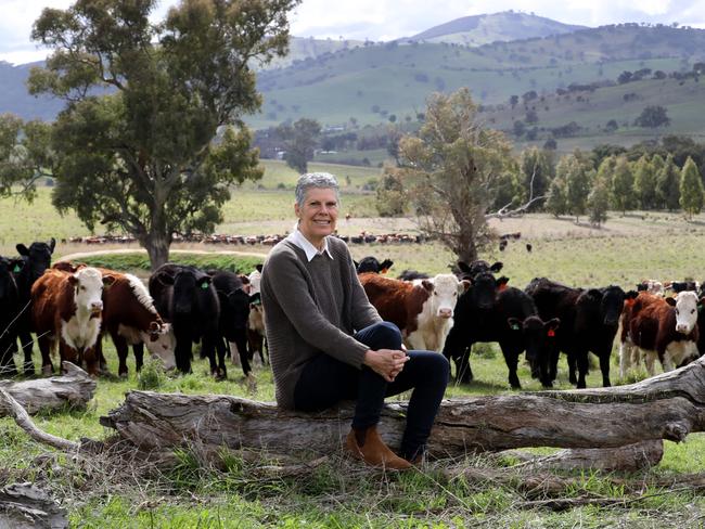 Gill Sanbrook on her farm near Holbrook, NSW. Picture: David Geraghty