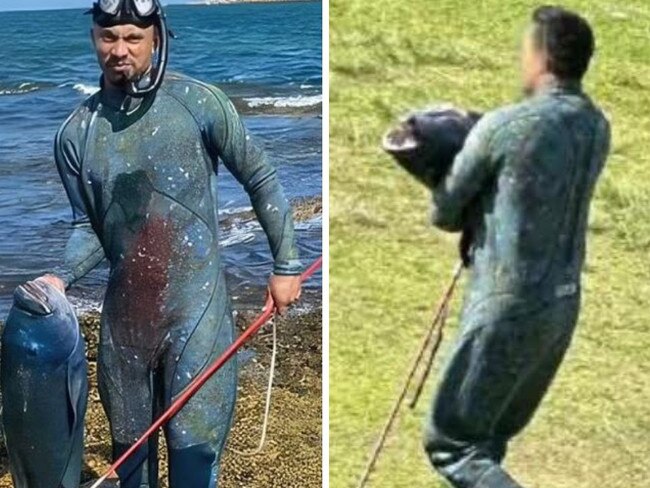 The man has been fined $500 for spearing the fish. Picture: Supplied