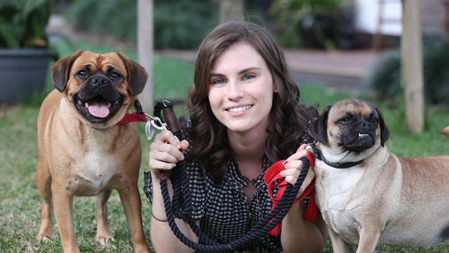 Bailey (left) and Bella(right) with AWLQ staff member Laura Sharp. Picture Glenn Hampson