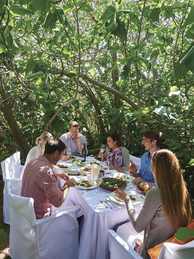 Lunch beneath The Enchanted Fig Tree. Picture: SATC