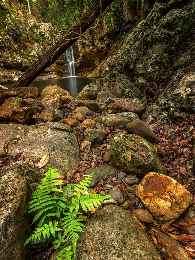 Cronan Creek Falls at Mount Barney National Park. Picture: @kenwarephotos