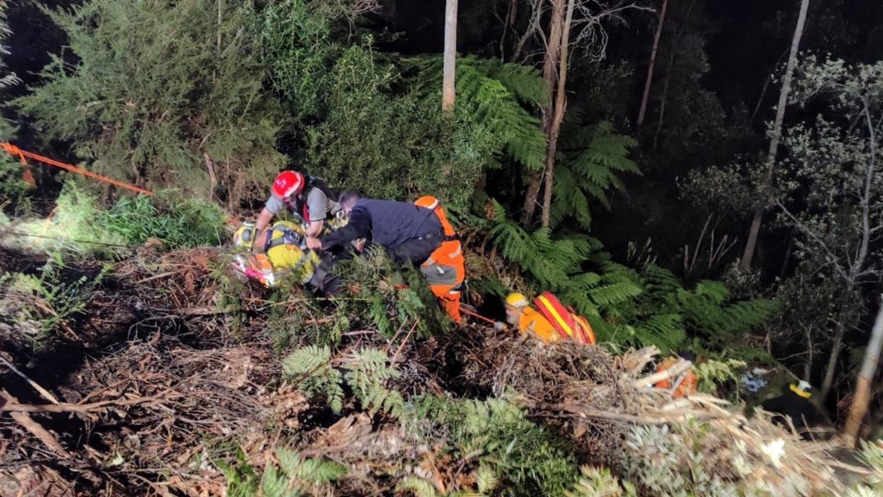 Early reports suggest she failed to negotiate a bend. Picture: Tasmania Police