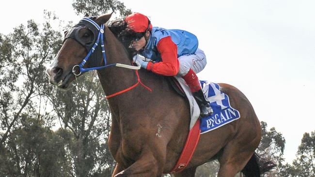 Admiral’s Joker won five straight races last spring, including the Seymour Cup. Picture: Getty Images