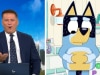 Experts are upset about body shaming on Bluey, but parents argue its reality
