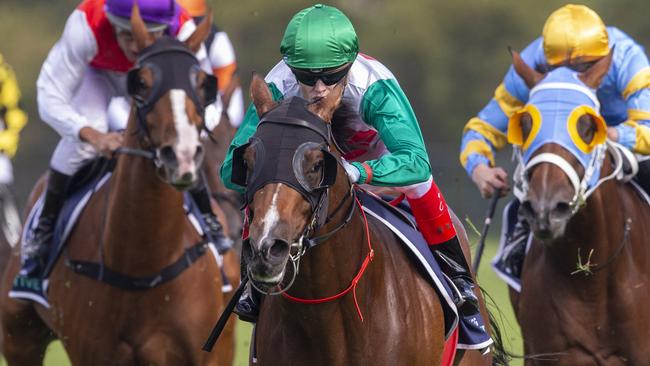 Castelvecchio winning the Rosehill Guineas last year. Picture: Getty Images