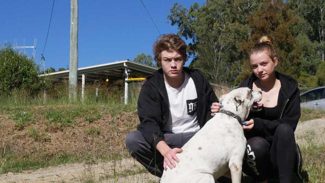 James Fowler saw the panther-like creature at the driveway of his Glenwood home. Pictured with partner Zavanna Larkin and dog Buffy. Picture: Annie Perets