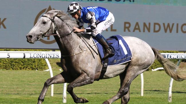 Ron Dufficy likes Top Ranked to take out the Group 1 Epsom Handicap. Picture: Grant Guy