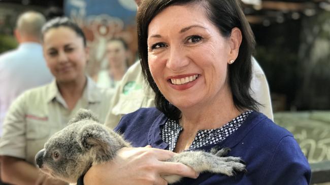 Queensland Minister for Environment Leeanne Enoch with Ginger the joey koala. Photo: Kirstin Payne