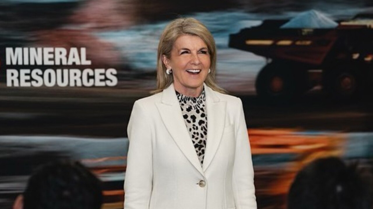 Julie Bishop smiles at a recent Mineral Resources professional development program. Picture: Instagram/honjuliebishop