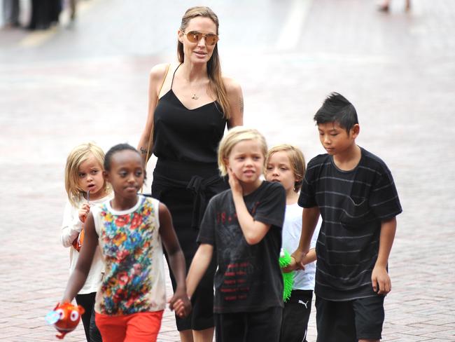 Angelina Jolie with her children Vivienne, Zahara, Shiloh, Knox and Maddox.