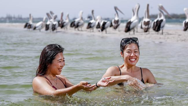 Ikumi Mandai, 25 (left) and Asako Wanibuchi, 26, cool off at the lagoon at Harley Park in Labrador. Picture: Tim Marsden