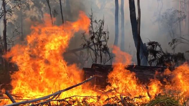 A bushfire near Fingal in northeast Tasmania. Picture: AAP