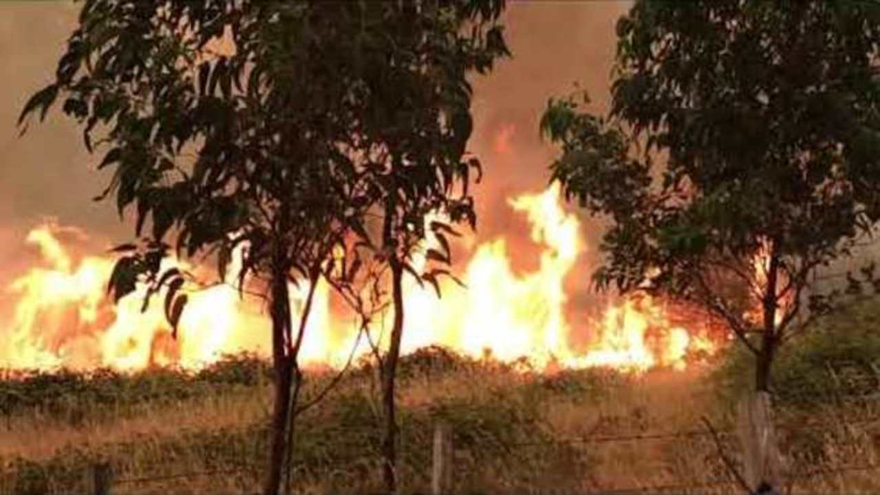 Photo of exhausted Tasmanian firefighters goes viral