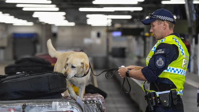 Australian Federal Police) airport operations. Picture: Roy VanDerVegt