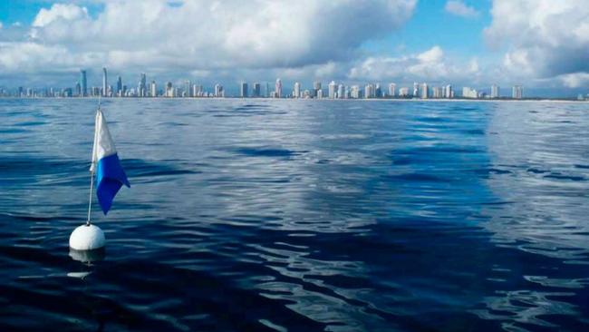 An image of the proposed dive site off the Gold Coast.