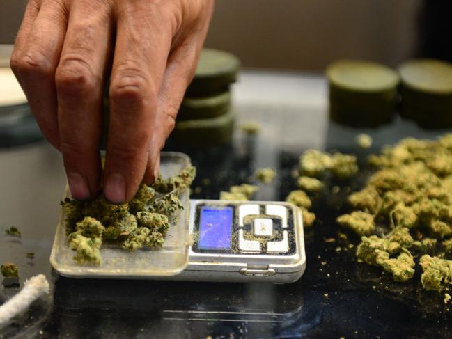 (FILES) This file photo taken on July 04, 2014 shows a vendor weighing buds for card-carrying medical marijuana patients attending Los Angeles' first-ever cannabis farmer's market at the West Coast Collective medical marijuana dispensary, on the fourth of July, or Independence Day, in Los Angeles, California.  Germany is to legalise cannabis for medicinal purposes early next year, according to the Health minister who will present draft legislation to the German cabinet on May 4, 2016 / AFP PHOTO / STF