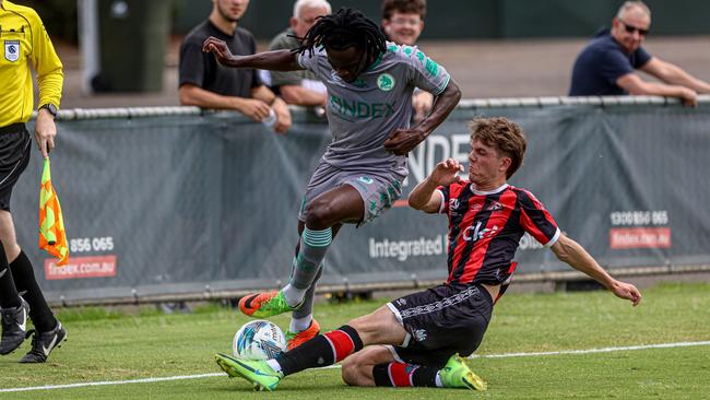 Green Gully in action against Altona Magic.