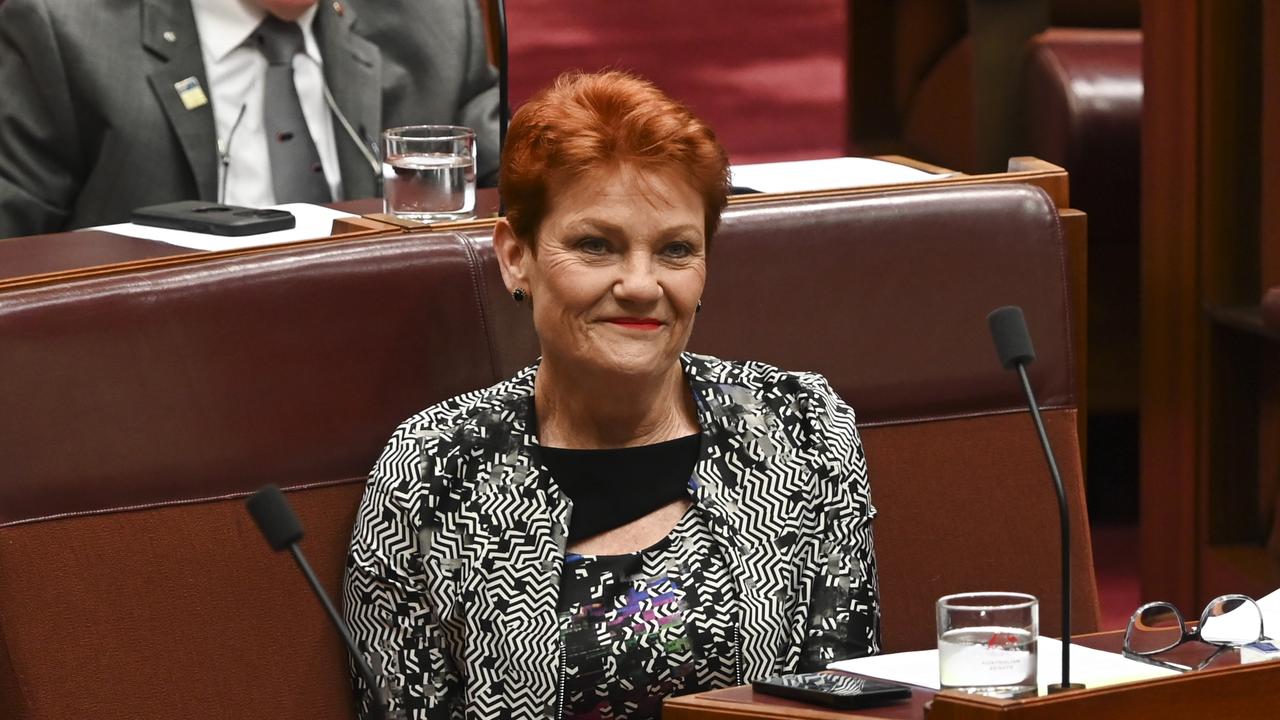 The last member of One Nation in NSW has resigned in a major blow to leader, Pauline Hanson. Picture: NCA NewsWire / Martin Ollman