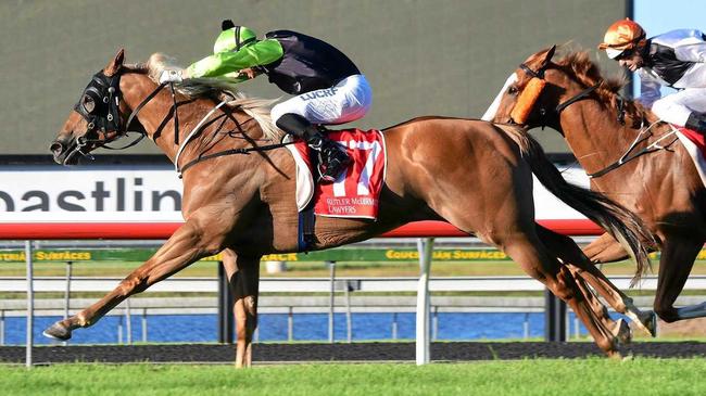 WINNER: Cabeirian winning at Caloundra on Saturday. Picture: Contributed