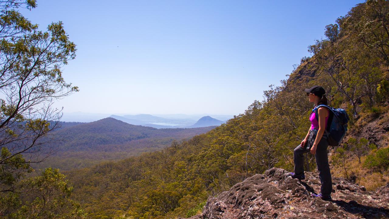 The Scenic Rim is surrounded by lush rainforests and mountain ranges in an ancient volcanic calder.