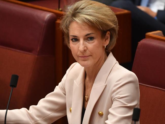 Minister for Employment and Women Michaelia Cash says more should be done to encourage mothers to stay in the workforce. Picture: AAP