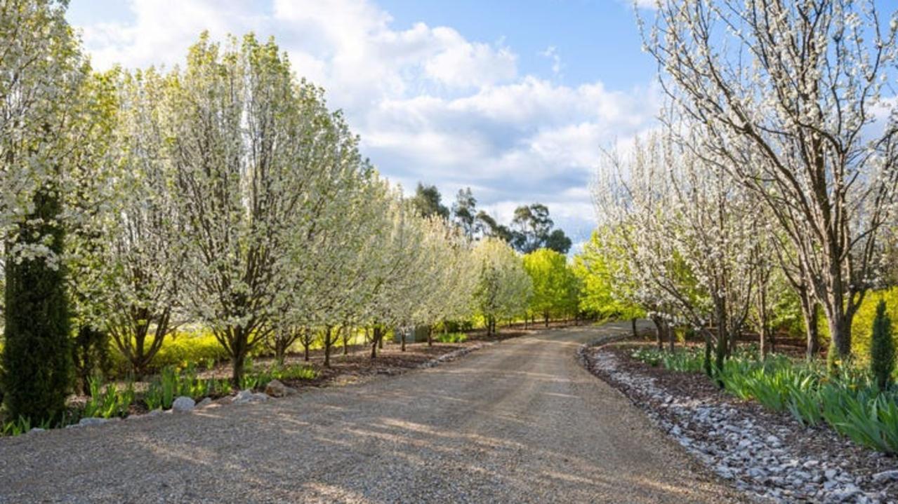 A winding driveway leads to the house.