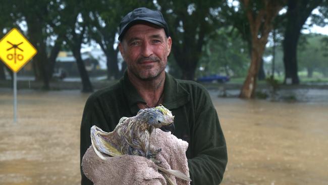 Mick Burford of Mossman rescues a cockatoo injured by strong winds of category 2 storm Cyclone Jasper. Picture: Peter Carruthers