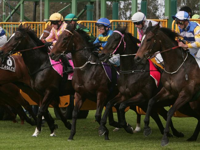 Wyong Races .The start of race # 3 at Wyong won by # 1 