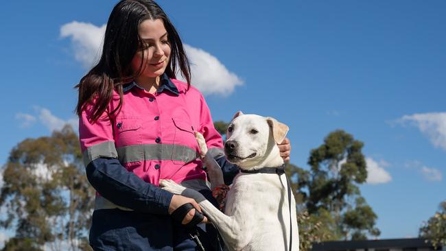 A Blacktown Council animal shelter worker with a pup, Mickey. Picture: Supplied